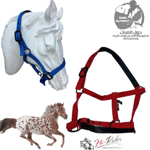 رشمة بلاك هاي رايدر - حول الفرات