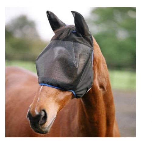 غطاء حماية الوجه - حول الفرات