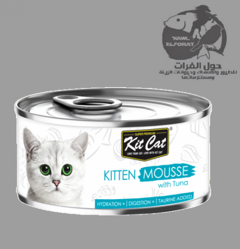 كت كات موس التونة كيتن 80g