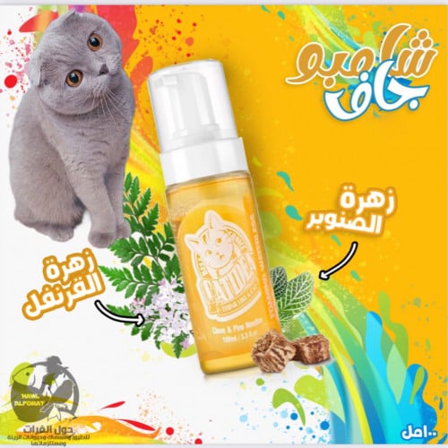 كاتيديا شامبو جاف زهرة الصنوبر و القرنفل 100ml