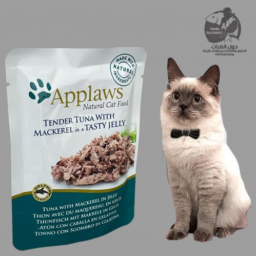 ابلاوز تونا و سمك الاسقمري في الجيلي - حول الفرات