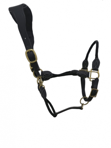 رشمة جلد - حول الفرات