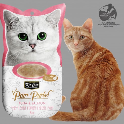 كيت كات بور هريس التونة والسلمون - حول الفرات