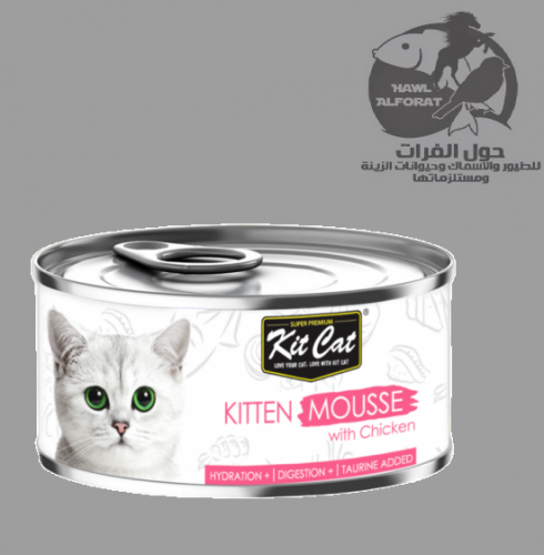 كت كات موس دجاج  كيتن 80g