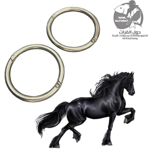 ثقلات حديد - حول الفرات