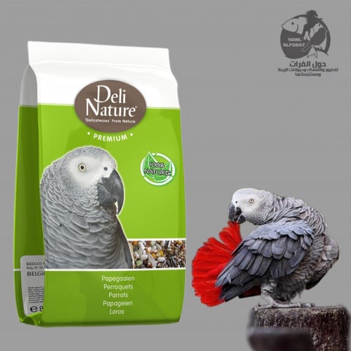 طعام ببغاء بالفواكة ديلى نيشر - حول الفرات