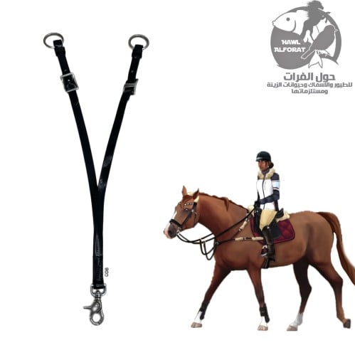 سير صدرية - حول الفرات