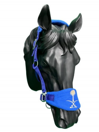 رشمة بشعار السعودية - حول الفرات