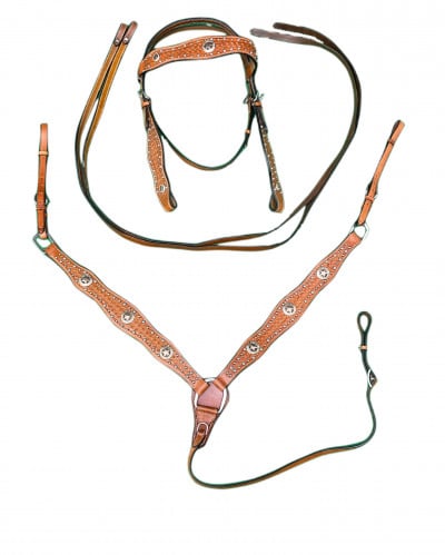 لجام جلد غربي - حول الفرات