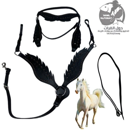 لجام جلد - حول الفرات