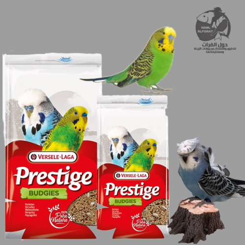 فيرسلاغا طعام البادجي ( طيور الحب ) 1&4 kg