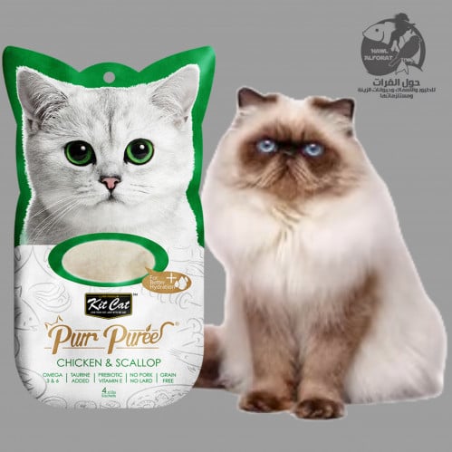 كيت كات بور هريس الدجاج و المحار - حول الفرات