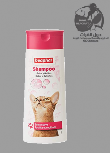 بيفار شامبو فقاعات رائحة الصبار 250ml