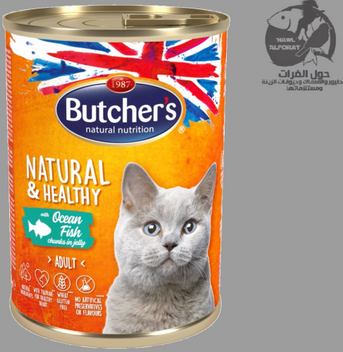 بوتشرز  قطع سمك المحيط بالجيلي - حول الفرات