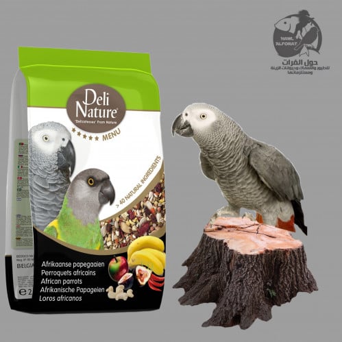 طعام ببغاء الفواكة ديلى نيشر - حول الفرات