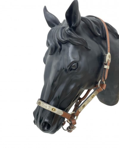 رشمة جلد - حول الفرات