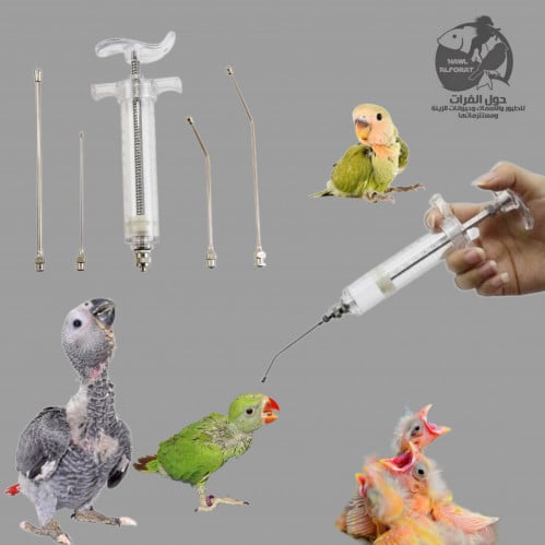 طقم ابرة غر استيل - حول الفرات