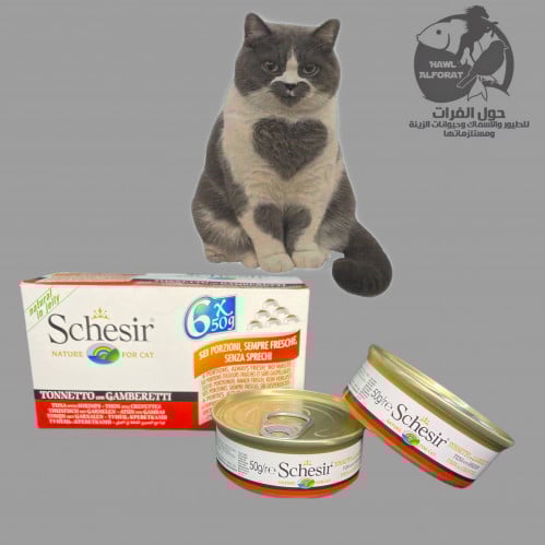 شيزر تونا مع جمبري في الجيلي - حول الفرات