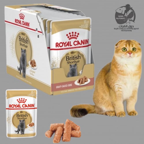 رويال كنن  بريتيش - حول الفرات