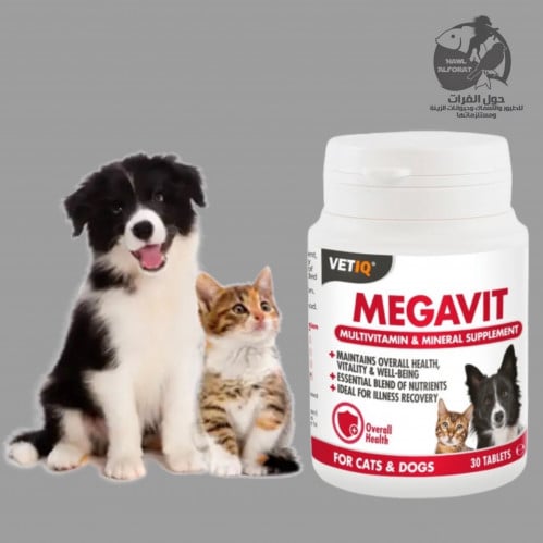 ميجافيت مكمل غذائي متعدد الفيتامينات والمعادن - حول الفرات