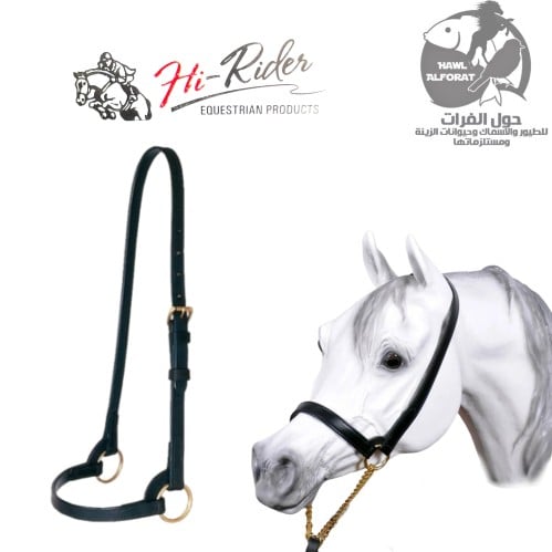 رشمة تدريب - حول الفرات