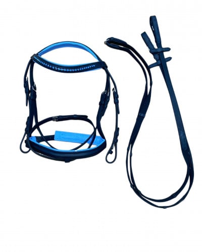 لجام جلد بالكريستال - حول الفرات