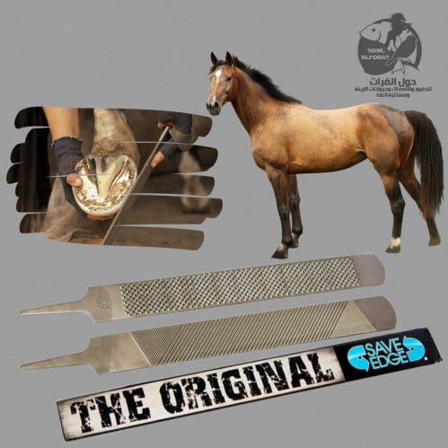 مبرد حافر امريكي - حول الفرات