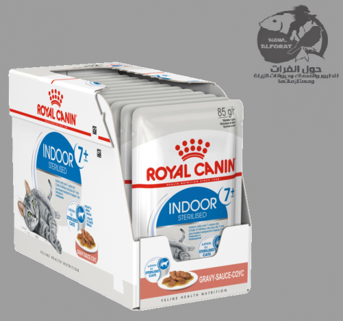 رويال كنن  اندور ستريلز - حول الفرات