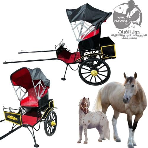 حنطور ملكي للخيل