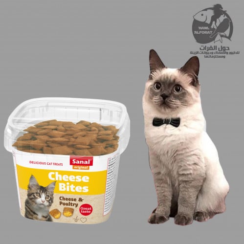 سنال مكافئات الجبن الكريمية - حول الفرات