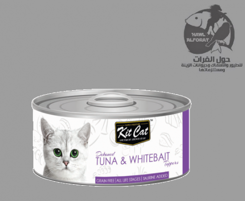 كيت كات تونة و صغار السمك   80g