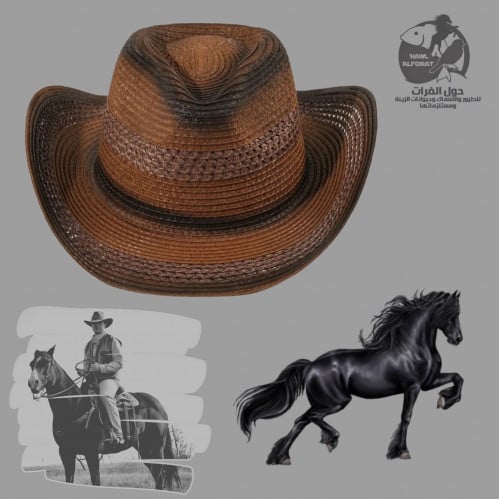 قبعة كاوبوي بني