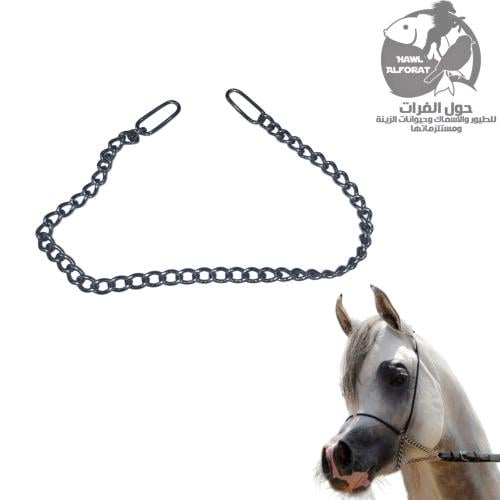 رشمة حلقات سلسلة مستطيلة - حول الفرات