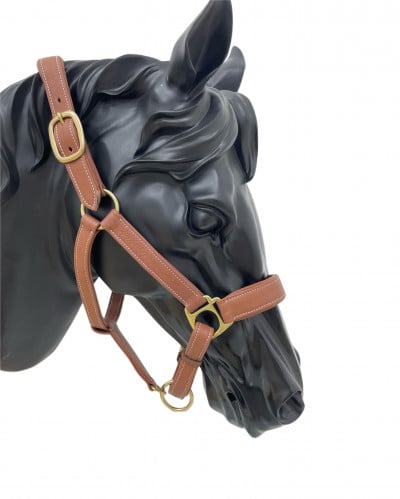 رشمة جلد - حول الفرات