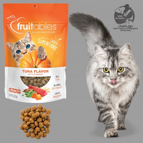 فروتابلز مكافئات للقطط بالتونا واليقطين - حول الفرات