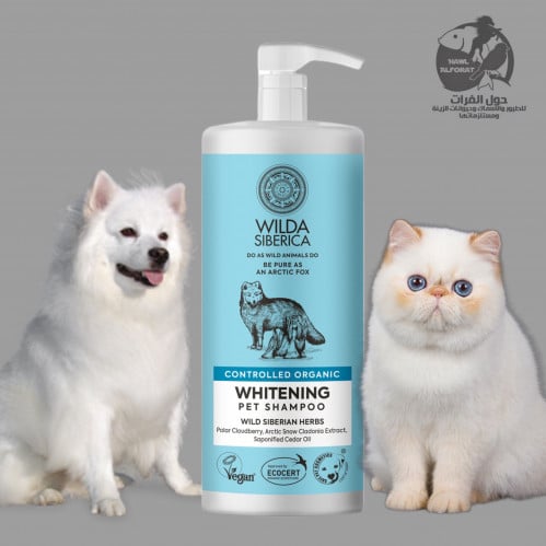 وايلد سيبيريكا شامبو - حول الفرات