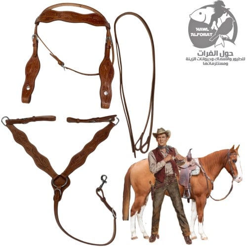 لجام غربي HF-10234