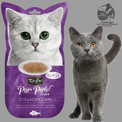 كيت كات بور بوري بلس بالتونا و والكولاجين - حول الفرات