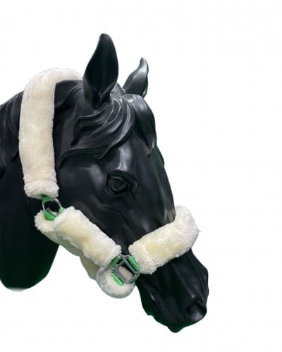 رشمة فرو - حول الفرات