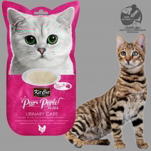 كيت كات بور بوري بلس بالدجاج و التوت البري - حول الفرات