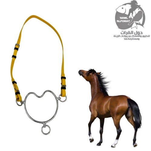 رئسية - حول الفرات