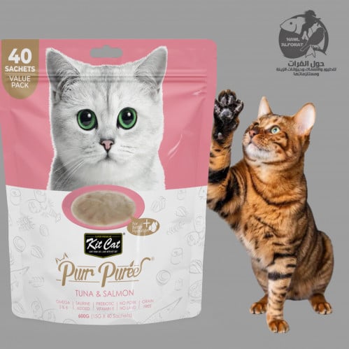 كيت كات بور هريس القيمة التونة والسلمون - حول الفرات