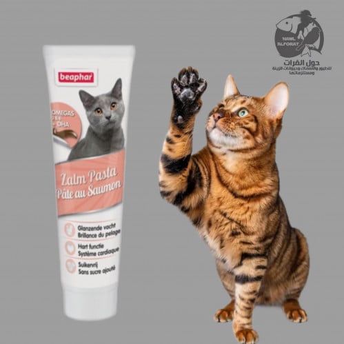 بيفار عجينة زيت السالمون - حول الفرات