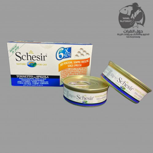 شيزر تونا مع سمك القاروص في الجيلي - حول الفرات