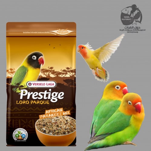 فيرسلاغا طعام البراكيت بريميوم - حول الفرات