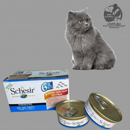 شيزر تونا في الجيلي - حول الفرات