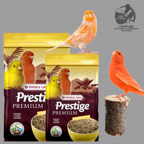 فيرسلاغا طعام كناري بريميوم - حول الفرات
