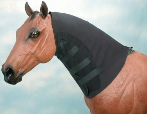 عراقة رقبة - حول الفرات