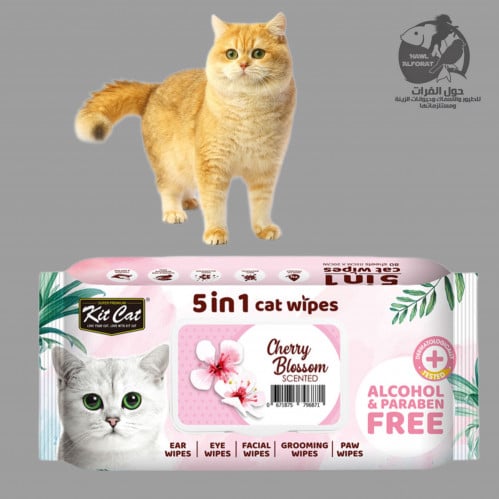 كيت كات 5 في 1 مناديل للقطط زهر الكرز - حول الفرات