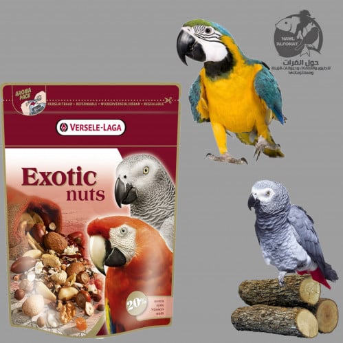 فيرسلاغا طعام الببغاء بالمكسرات - حول الفرات
